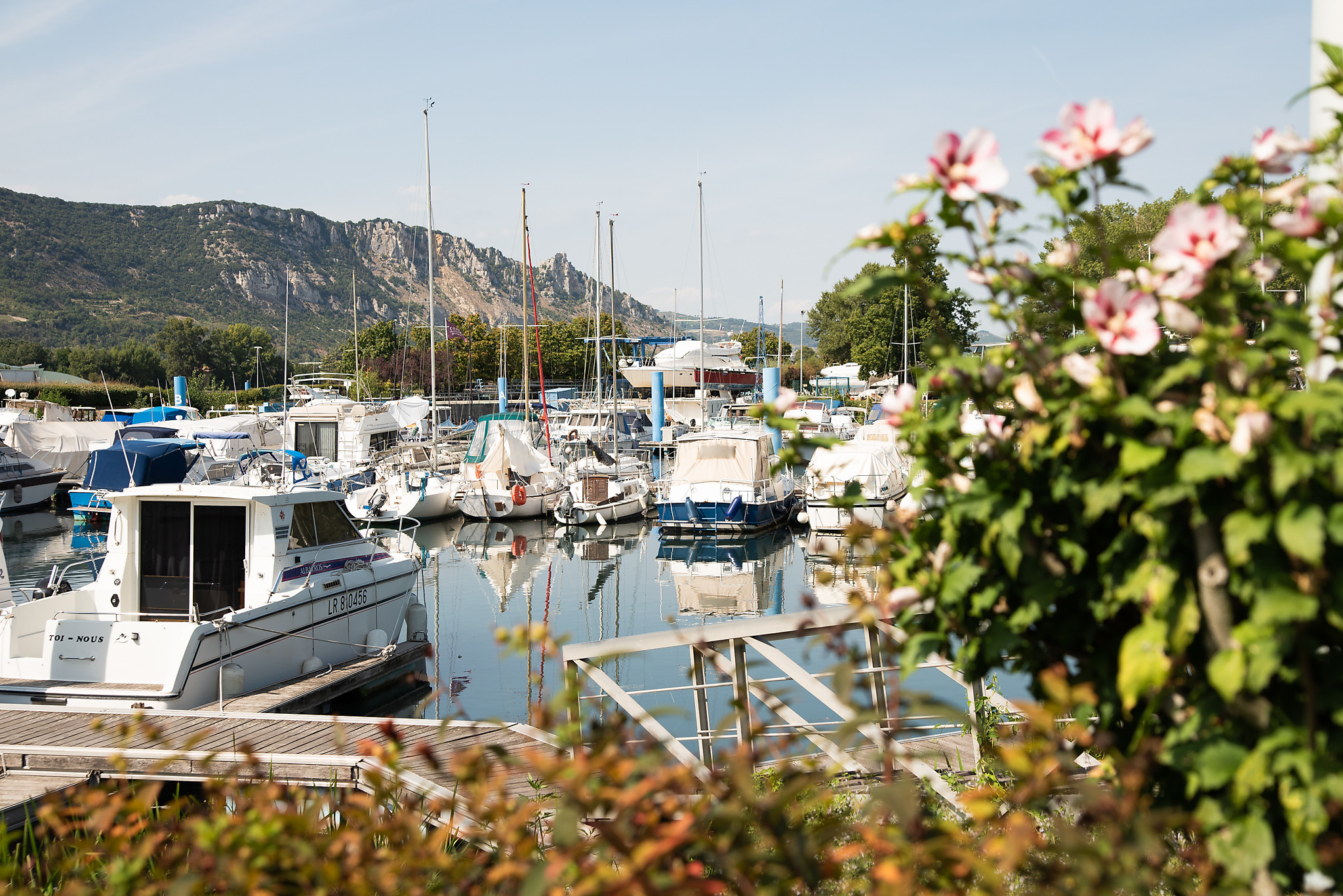 dsc_9010_2048x1367-eperviere-valence-romans-tourisme